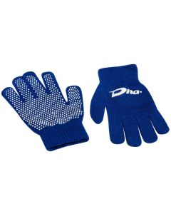 Dita Aspen Winterhandschoenen