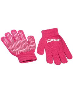 Dita Aspen Winterhandschoenen